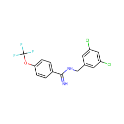 N=C(NCc1cc(Cl)cc(Cl)c1)c1ccc(OC(F)(F)F)cc1 ZINC000013487861