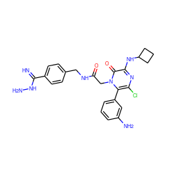 N=C(NN)c1ccc(CNC(=O)Cn2c(-c3cccc(N)c3)c(Cl)nc(NC3CCC3)c2=O)cc1 ZINC000028709883