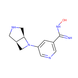 N=C(NO)c1cncc(N2C[C@H]3CNC[C@H]32)c1 ZINC000028865998