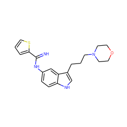 N=C(Nc1ccc2[nH]cc(CCCN3CCOCC3)c2c1)c1cccs1 ZINC000034805844