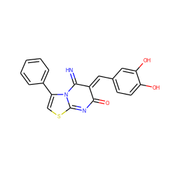 N=C1/C(=C/c2ccc(O)c(O)c2)C(=O)N=C2SC=C(c3ccccc3)N12 ZINC000004860084