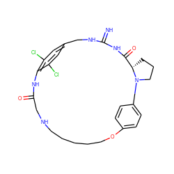 N=C1NCc2cc(Cl)c(c(Cl)c2)NC(=O)CNCCCCCOc2ccc(cc2)N2CCC[C@H]2C(=O)N1 ZINC000473154403