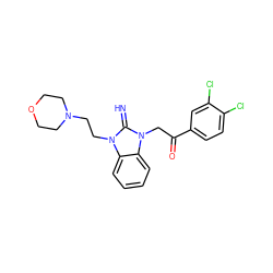 N=c1n(CCN2CCOCC2)c2ccccc2n1CC(=O)c1ccc(Cl)c(Cl)c1 ZINC000019879852