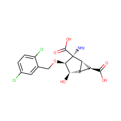 N[C@@]1(C(=O)O)[C@H](OCc2cc(Cl)ccc2Cl)[C@H](O)[C@@H]2[C@H]1[C@H]2C(=O)O ZINC001772590758