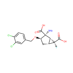 N[C@@]1(C(=O)O)[C@H](OCc2ccc(Cl)c(Cl)c2)C[C@@H]2[C@H]1[C@@]2(F)C(=O)O ZINC000003817238