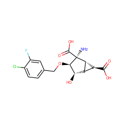 N[C@@]1(C(=O)O)[C@H](OCc2ccc(Cl)c(F)c2)[C@H](O)[C@@H]2[C@H]1[C@H]2C(=O)O ZINC001772639825