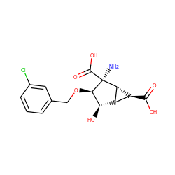 N[C@@]1(C(=O)O)[C@H](OCc2cccc(Cl)c2)[C@H](O)[C@@H]2[C@H]1[C@H]2C(=O)O ZINC001772580124