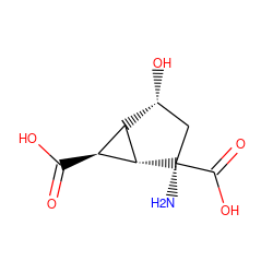 N[C@@]1(C(=O)O)C[C@@H](O)[C@@H]2[C@H]1[C@H]2C(=O)O ZINC000096270262