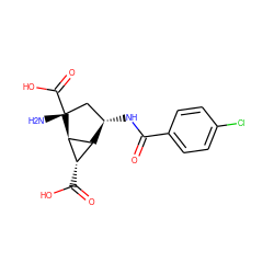 N[C@@]1(C(=O)O)C[C@H](NC(=O)c2ccc(Cl)cc2)[C@H]2[C@H](C(=O)O)[C@H]21 ZINC000202465291