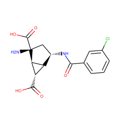 N[C@@]1(C(=O)O)C[C@H](NC(=O)c2cccc(Cl)c2)[C@H]2[C@H](C(=O)O)[C@H]21 ZINC000202463574