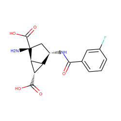 N[C@@]1(C(=O)O)C[C@H](NC(=O)c2cccc(F)c2)[C@H]2[C@H](C(=O)O)[C@H]21 ZINC000202463813