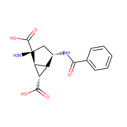 N[C@@]1(C(=O)O)C[C@H](NC(=O)c2ccccc2)[C@H]2[C@H](C(=O)O)[C@H]21 ZINC000003989418