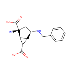 N[C@@]1(C(=O)O)C[C@H](NCc2ccccc2)[C@H]2[C@H](C(=O)O)[C@H]21 ZINC000202463881