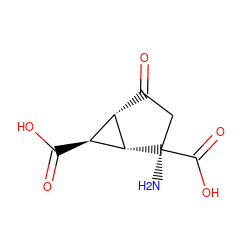 N[C@@]1(C(=O)O)CC(=O)[C@@H]2[C@H]1[C@H]2C(=O)O ZINC000004424547