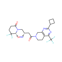 N[C@@H](CC(=O)N1CCc2c(nc(C3CCC3)nc2C(F)(F)F)C1)CN1C(=O)CCC(F)(F)[C@H]1O ZINC000096167447