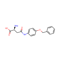 N[C@@H](CC(=O)Nc1ccc(OCc2ccccc2)cc1)C(=O)O ZINC000040407791