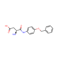 N[C@@H](CC(=O)O)C(=O)Nc1ccc(OCc2ccccc2)cc1 ZINC000024975149