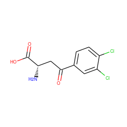 N[C@@H](CC(=O)c1ccc(Cl)c(Cl)c1)C(=O)O ZINC000000019529