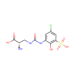 N[C@@H](CNC(=O)Nc1cc(Cl)cc(S(=O)(=O)O)c1O)C(=O)O ZINC000149301361