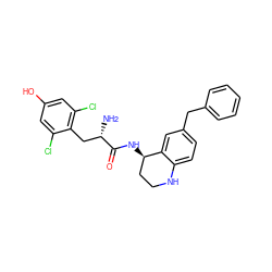 N[C@@H](Cc1c(Cl)cc(O)cc1Cl)C(=O)N[C@@H]1CCNc2ccc(Cc3ccccc3)cc21 ZINC000653709068