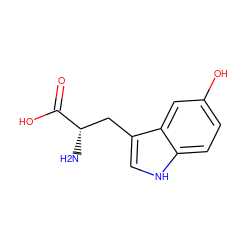 N[C@@H](Cc1c[nH]c2ccc(O)cc12)C(=O)O ZINC000000895330