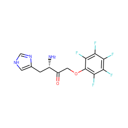 N[C@@H](Cc1c[nH]cn1)C(=O)COc1c(F)c(F)c(F)c(F)c1F ZINC000169321766