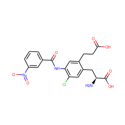 N[C@@H](Cc1cc(Cl)c(NC(=O)c2cccc([N+](=O)[O-])c2)cc1CCC(=O)O)C(=O)O ZINC000299831830