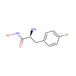 N[C@@H](Cc1ccc(Br)cc1)C(=O)NO ZINC000035075535