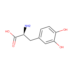 N[C@@H](Cc1ccc(O)c(O)c1)C(=O)O ZINC000000895199