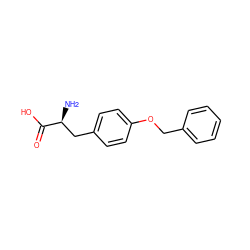 N[C@@H](Cc1ccc(OCc2ccccc2)cc1)C(=O)O ZINC000000133159