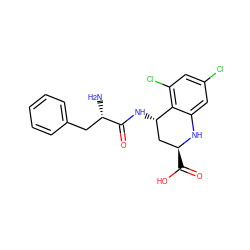 N[C@@H](Cc1ccccc1)C(=O)N[C@H]1C[C@H](C(=O)O)Nc2cc(Cl)cc(Cl)c21 ZINC000013455239