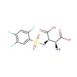 N[C@H](C(=O)O)[C@@H](NS(=O)(=O)c1cc(F)c(F)cc1F)C(=O)O ZINC001772612526