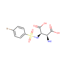 N[C@H](C(=O)O)[C@@H](NS(=O)(=O)c1ccc(Br)cc1)C(=O)O ZINC001772624759