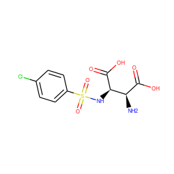 N[C@H](C(=O)O)[C@@H](NS(=O)(=O)c1ccc(Cl)cc1)C(=O)O ZINC001772619374