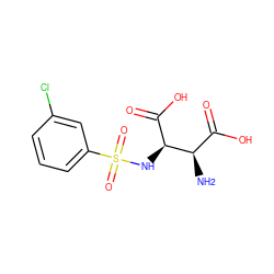 N[C@H](C(=O)O)[C@@H](NS(=O)(=O)c1cccc(Cl)c1)C(=O)O ZINC001772639001