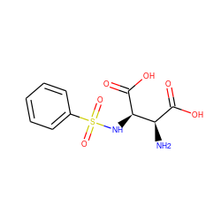 N[C@H](C(=O)O)[C@@H](NS(=O)(=O)c1ccccc1)C(=O)O ZINC000145378339