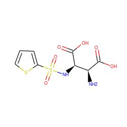 N[C@H](C(=O)O)[C@@H](NS(=O)(=O)c1cccs1)C(=O)O ZINC001772570271