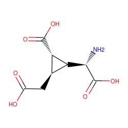 N[C@H](C(=O)O)[C@@H]1[C@@H](C(=O)O)[C@@H]1CC(=O)O ZINC000027523434