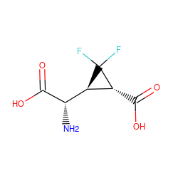 N[C@H](C(=O)O)[C@@H]1[C@@H](C(=O)O)C1(F)F ZINC000003995820