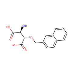 N[C@H](C(=O)O)[C@H](OCc1ccc2ccccc2c1)C(=O)O ZINC000040864195