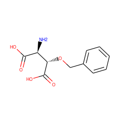 N[C@H](C(=O)O)[C@H](OCc1ccccc1)C(=O)O ZINC000002506775