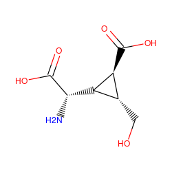 N[C@H](C(=O)O)[C@H]1[C@@H](CO)[C@@H]1C(=O)O ZINC000003994777