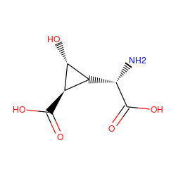 N[C@H](C(=O)O)[C@H]1[C@@H](O)[C@@H]1C(=O)O ZINC000027523522