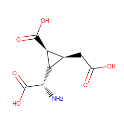 N[C@H](C(=O)O)[C@H]1[C@H](CC(=O)O)[C@@H]1C(=O)O ZINC000027523851