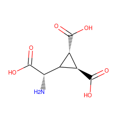 N[C@H](C(=O)O)C1[C@H](C(=O)O)[C@H]1C(=O)O ZINC000002568246