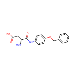 N[C@H](CC(=O)O)C(=O)Nc1ccc(OCc2ccccc2)cc1 ZINC000040918377