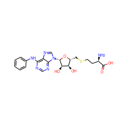 N[C@H](CCSC[C@H]1O[C@@H](n2cnc3c(Nc4ccccc4)ncnc32)[C@H](O)[C@@H]1O)C(=O)O ZINC000058590113