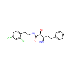 N[C@H](CCc1ccccc1)[C@H](O)C(=O)NCCc1ccc(Cl)cc1Cl ZINC000027990014