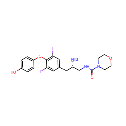 N[C@H](CNC(=O)N1CCOCC1)Cc1cc(I)c(Oc2ccc(O)cc2)c(I)c1 ZINC000095602860