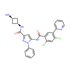 N[C@H]1C[C@@H](NC(=O)c2cc(NC(=O)c3cc(-c4ccccn4)c(Cl)cc3Cl)n(-c3ccccc3)n2)C1 ZINC001772587056